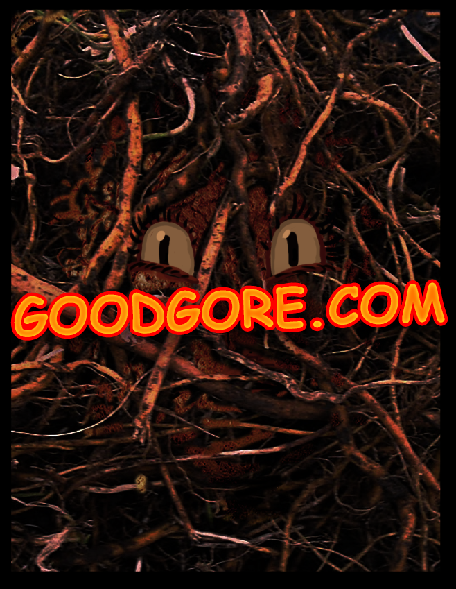 the old name was goodgore 